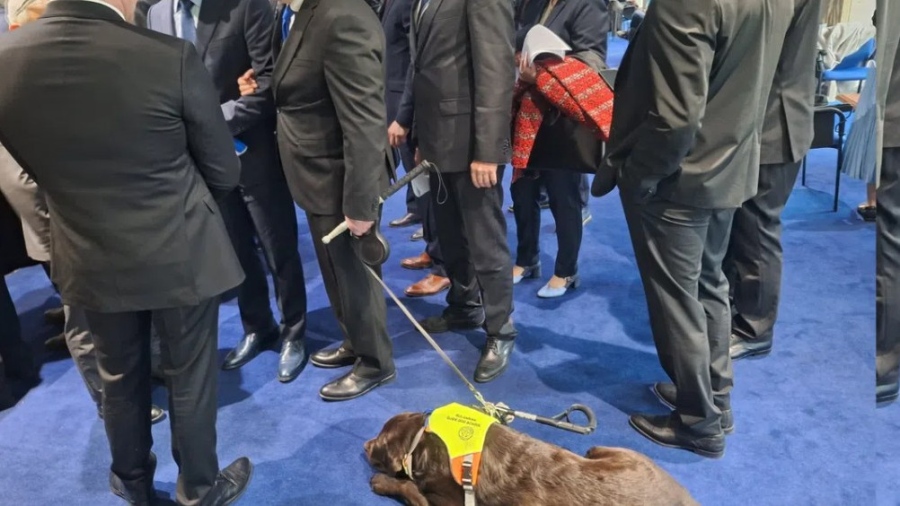 За първи път куче ще бъде част от Народното събрание