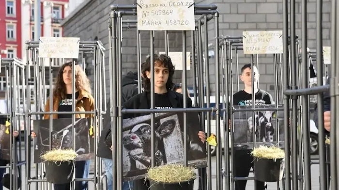 Младежи в клетки протестират пред парламента